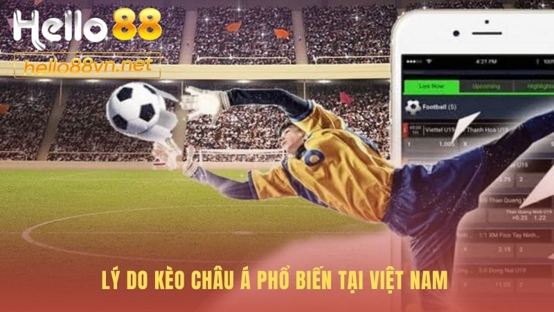 Kèo Châu Á phổ biến vì giảm rủi ro và tăng kịch tính