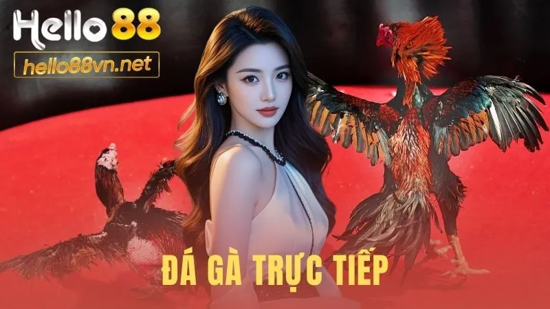 Đá Gà Trực Tiếp